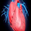 7 عادات غذائية ضرورية لصحة قلبك