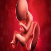 أحدث طرق علاج أمراض الجنين داخل الرحم