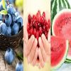 الأوقات الصحيحة لتناول الفاكهة