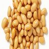 بروتين الصويا قد يخفف شدة أمراض التهاب الأمعاء