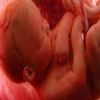 تعرف على أبرز الأمراض التى يصاب بها الجنين فى الرحم وأسبابها