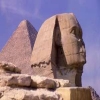 مصري يطالب بمحاكمة نابليون لقيامه بكسر أنف أبو الهول