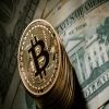 3 أسرار وراء ارتفاع سعر البيتكوين.. المخدرات من ضمنها