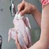 10 علامات تكشف فساد الفراخ.. خدى بالك منها