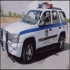 دورية شرطة بريطانية لاعتقال قطة