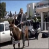 نائب قبرصي يصل البرلمان بـحمار احتجاجا على رفع سعر الوقود