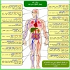 اجعل غذائك دوائك