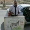 حزب الحمير العراقي يطالب بحماية حمير سوريا