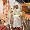  أبوظبي تطلق مسابقات لأجمل كلب صيد وأفضل قهوة وقصيدة