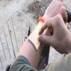 سوار يحول معصمك إلى هاتف ذكي