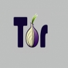 بعد إكس بوكس وبلاي ستيشن.. "ليزارد سكواد" يضربون "Tor"