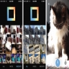 إنستجرام تطلق تطبيق Layout لدمج الصور للـ iOS