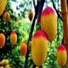 8 ماكولات تجعلك اصغر سناً