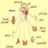 5 علامات لأورام الغدة النخامية  