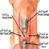 تغيرات شكل الجسم دليل على ارتباك الهرمونات 