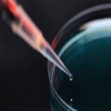 القضاء على مرض السكر أول مهامGoogle Life Sciences   
