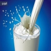 لماذا عليك شرب الحليب البارد؟
