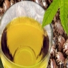 الخروع وبذور الجزر موانع حمل طبيعية  