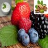 8 مأكولات تنمي المهارات العقلية والذكاء الحاد