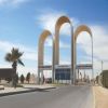 جامعة الملك فيصل تحول «مركز النخيل» إلى معهد متخصص