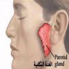 علاج النكاف بوصفات طبيعية
