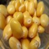 10 خطوات لقضاء يوم عيد بلا متاعب صحية
